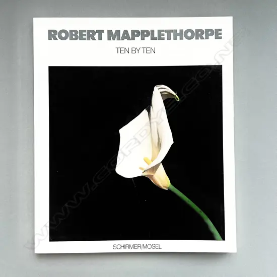 ROBERT MAPPLETHORPE: TEN BY TEN